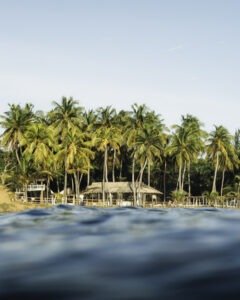 Sri Lanka surf holiday experience